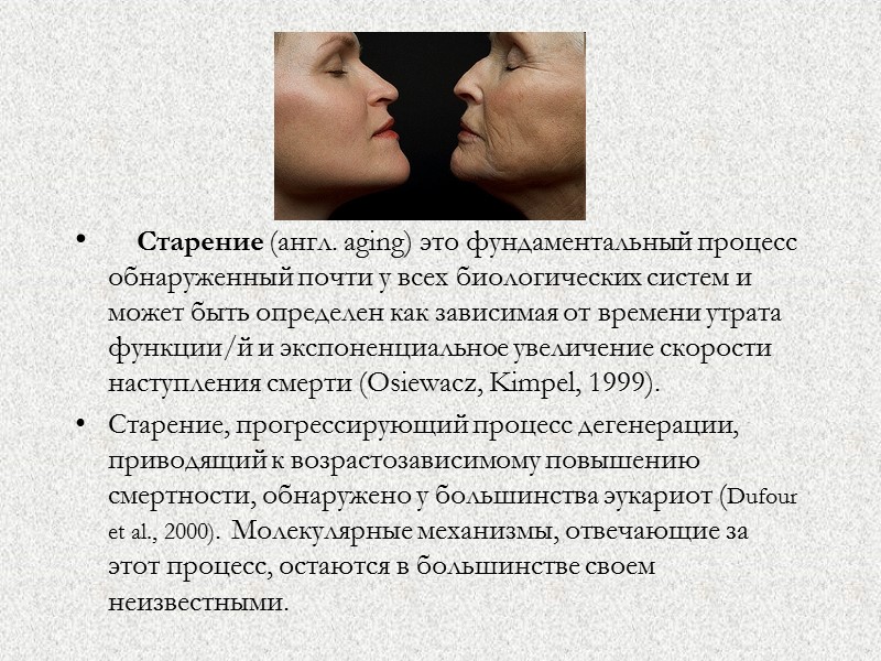 Старение (англ. аging) это фундаментальный процесс обнаруженный почти у всех биологических систем и может
